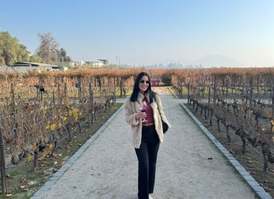 Concha y Toro – Centro Del Vino